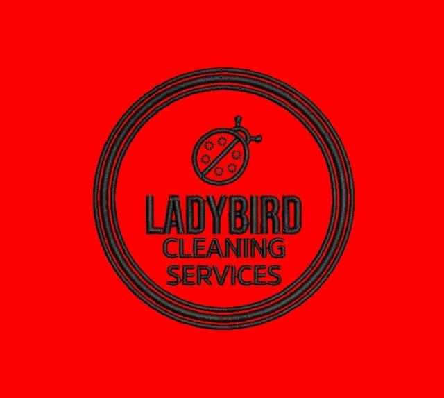 Ladybird cleaning services 🐞