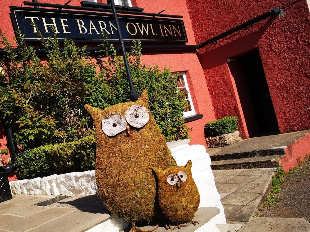 The Barn Owl